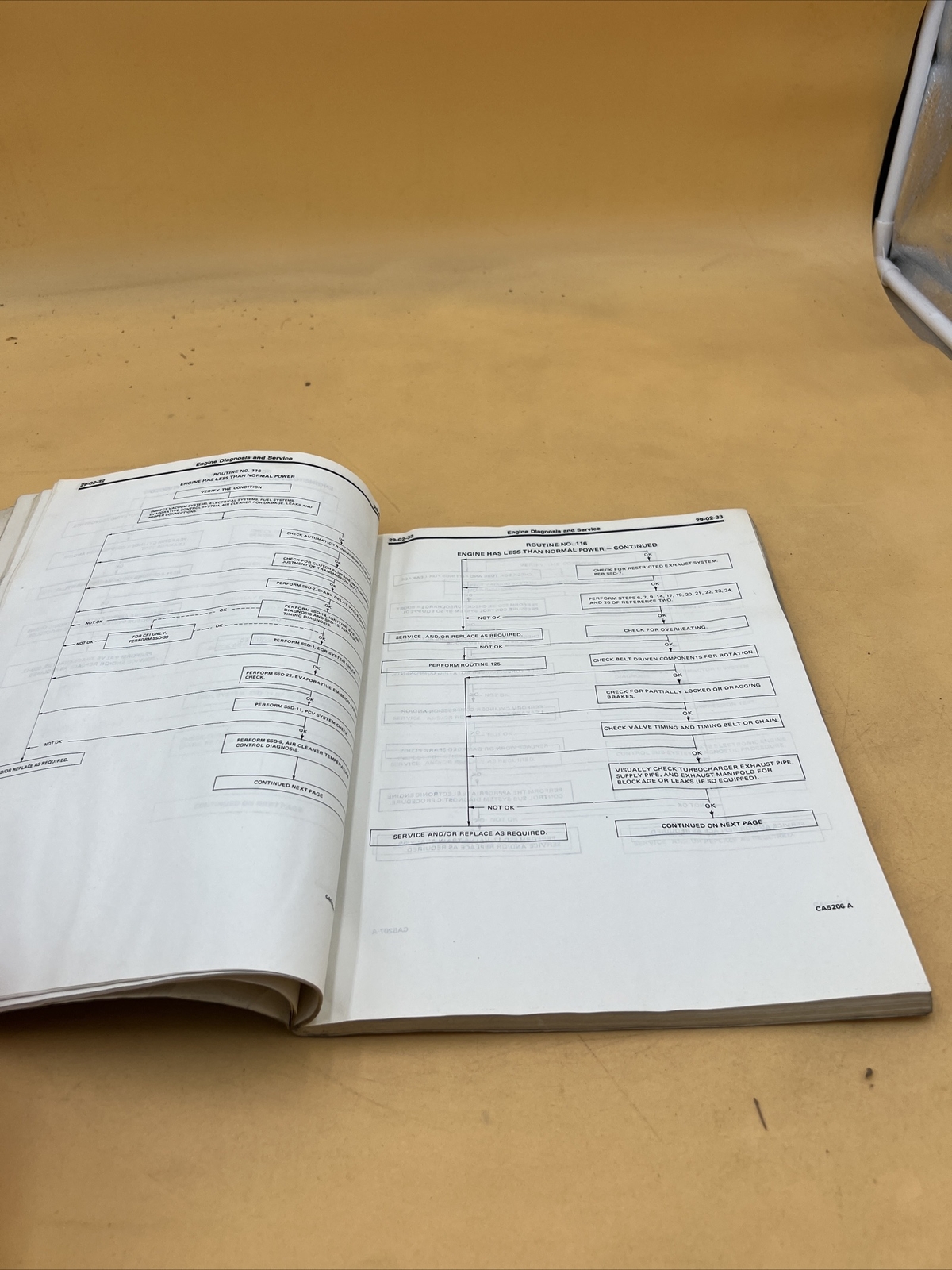 Picture 4