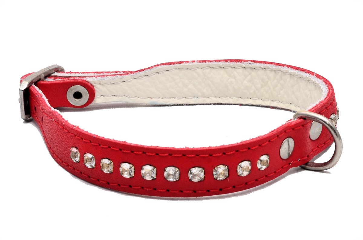 Haoyueer Collari Per Cani E Gatti Con Strass E Campanella, Collari Per Cuccioli Con Morbido Velluto Di Cristallo, Collana Gioiello Per Ragazze (rosa-1 - Foto 4