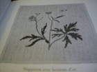 Foto 3 di 6