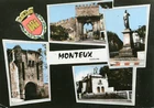 MONTEUX Multivview Card