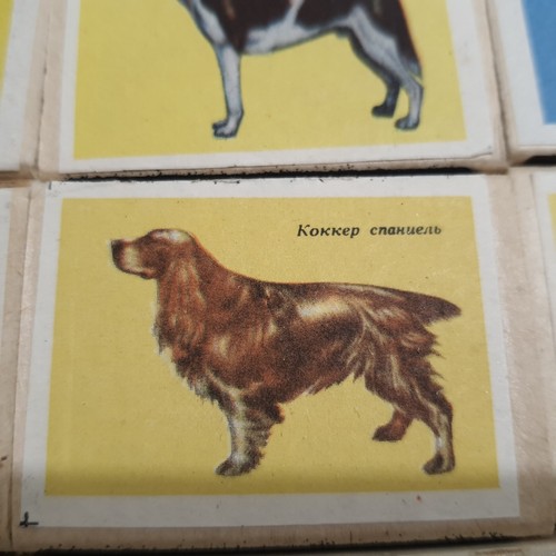 RARAS Cajas de cerillas de recuerdos soviéticos perros recuerdos soviéticos perros de servicio perro de caza - Imagen 7 de 13