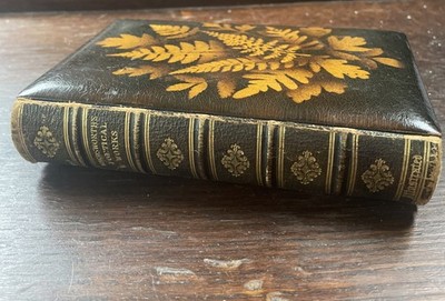 Antikes MAUCHLINE FERN WARE Buch Holz WORDSWORTH Poetische Werke 1873 BAUM 