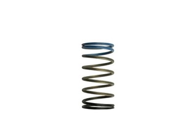 Turbosmart for WG50/60 10PSI MID SPRG-BLK/BLU