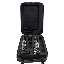 Backun Model BCLBPROTG-SK 'Protege' Bb Clarinet SN PZ10295 OPEN BOX