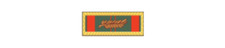 4" republic of vietnam civil actions unit citation palm army decal usa made
