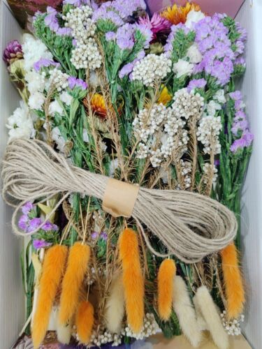 Natural Real Dried Flowers Mixed Colors For DIY Art Pendant Jewelry Making Decor