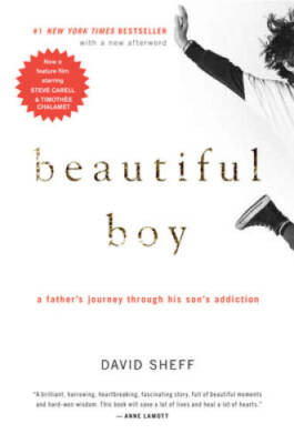 Beautiful Boy: A Father's Journey Through His Son's Addiction - VERY GOOD