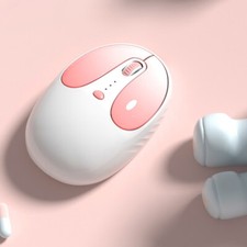 Dual-Mode Mice 2.4G Quiet Mice with Display W9V2