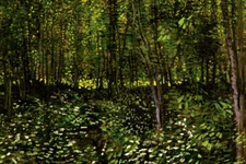 Vincent van Gogh Trees and Undergrowth Forest Poster 12x18