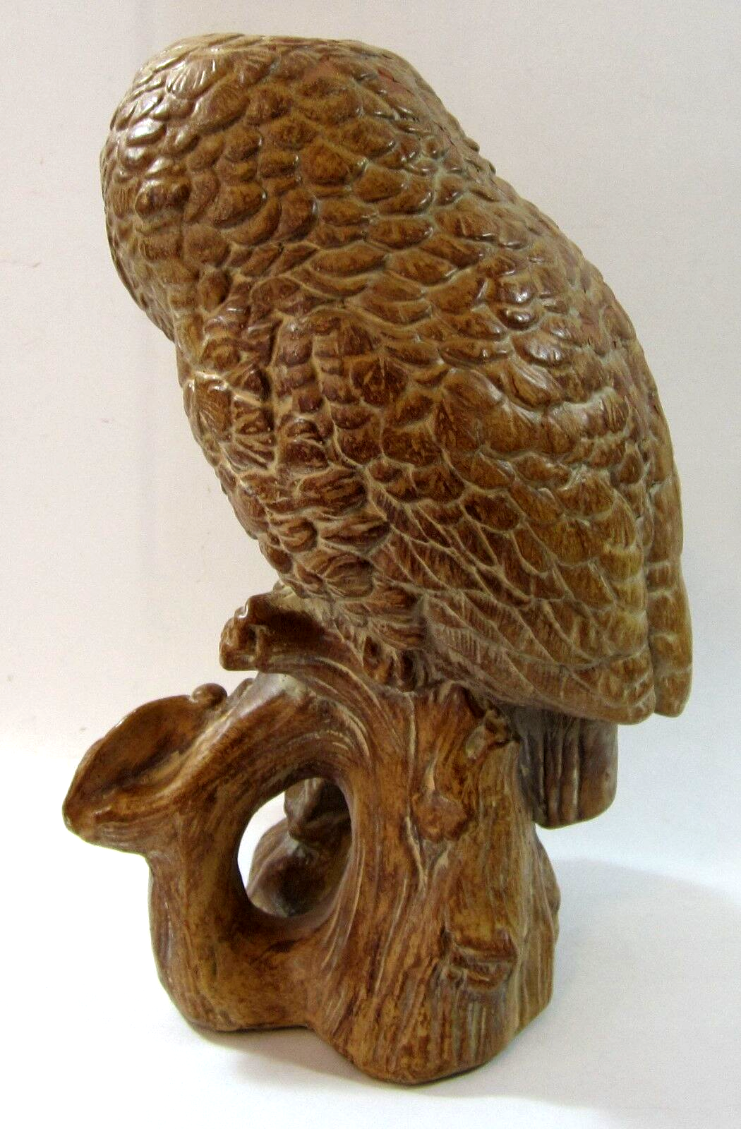 Picture 5 of 12