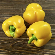 50+ Mini Yellow Bell Pepper Seeds --- Organic --- NON GMO ---------------- RARE
