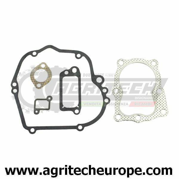 Kit Riparazione 490563 Briggs & Stratton Quantum 35 - Guarnizioni