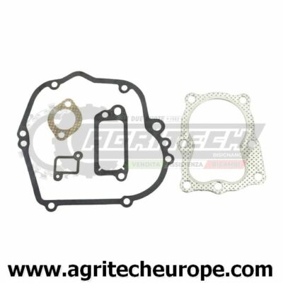 490563 Dichtungen Serie Briggs & Stratton Altes Quantum 35 100700