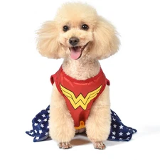 Fetch For Pets DC Comics Wonder Woman Halloween Dog Costume XS
