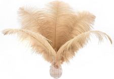 Champagne Ostrich Feathers Bulk - 24Pcs 10-12Inch Boho Feathers for Vase and Hom