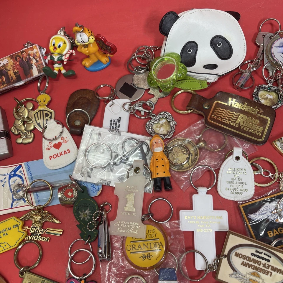 Huge keychains lot Keyrings Fobs Backpack Charms Purse Handbag Pendants. #14 - Image 3 of 4
