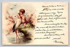 Postal de cigüeña de montar querubín de 1903, J. Miester Berlín, matasellos húngaro