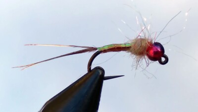 6 Tungsten Rainbow Warrior Fly Fishing  trout  Fly - euro nymph