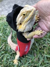 MICKEYMOUSE PRINTS 6 XLRG SLEEVELESS BODY HOODY SHIRT 4 UNISEX BEARDED DRAGON