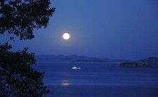 Landscape photography water sea trees nature night moon Custom Gaming Mat Desk