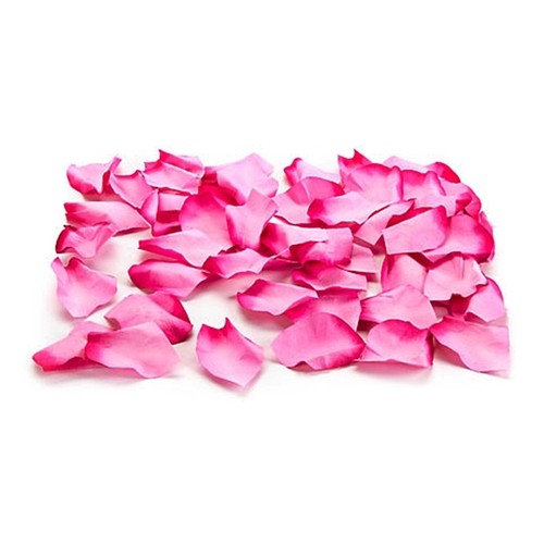 50 pc. BOX DAVID TUTERA GARDEN ROMANCE PETALS WEDDING DECOR FLOWER GIRL BASKET - Picture 4 of 5