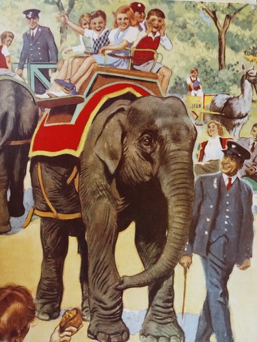 Sk221 Ephemera 50er Jahre Bild Elefantenritt London Zoo