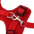 Foto 15 di 24