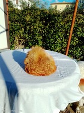 Cappello In Pelliccia Di Volpe