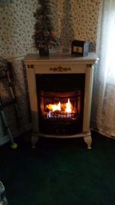 Pro Com E Series Vent Free Freestanding Propane Fireplace Ebay