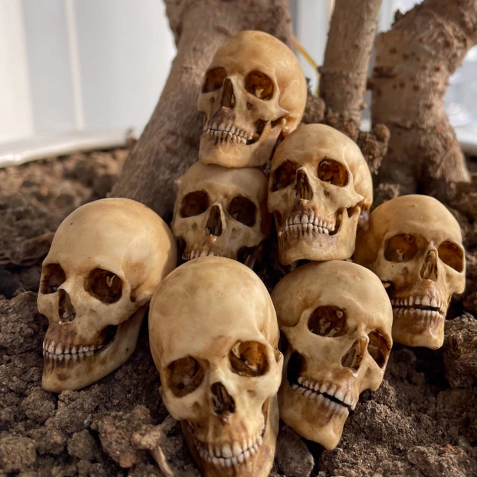 Modelo PVC Esqueleto Calavera Humana Escala 1/6 para Figura de Acción 12" Accesorios Piezas Foto 2 de 4