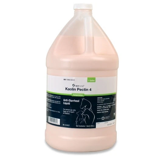 Kaopectate Kao Pect Anti Diarrheal Liquid One Gallon
