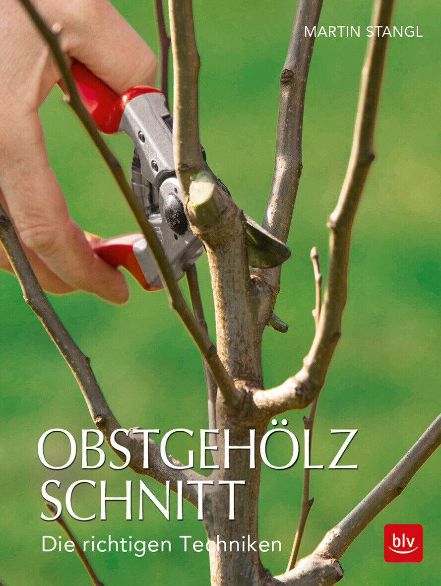 Thumbnail - Martin Stangl / Obstgehölzschnitt