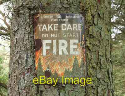 Foto 6x4 Warnschild Tardree Wald Scolboa ein altes Brandschutz Sig c2008