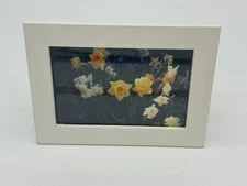 Malden White Wood 3.5x5.5 Frame