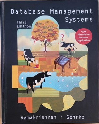 Database Management Systems by Raghu Ramakrishnan and Johannes Gehrke VERY GOOD