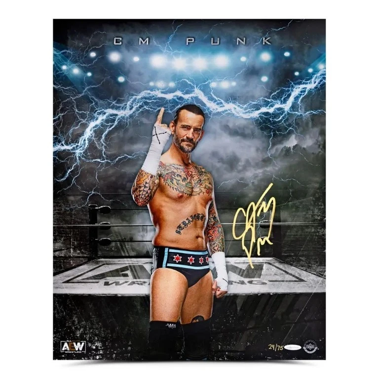 Foto autografiada firmada por CM Punk 16x20 Ascension All Elite Wrestling AEW/75 UDA