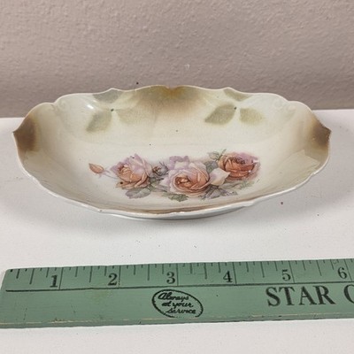 Vintage Iridescent Green Leaves, Pink Roses Oval Celery Dish Made In Bavaria