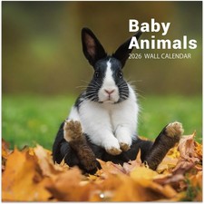 2026 Calendar - 2026 Wall Calendar, 12" x 24" Open , 12 Month Baby Animal Calend