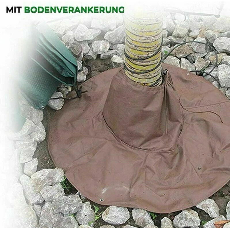 Bild 5 von 7