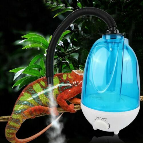 Dragon MAGIC-FOG - Der Ultimative Ultraschall Vernebler Für Ihr Terrarium