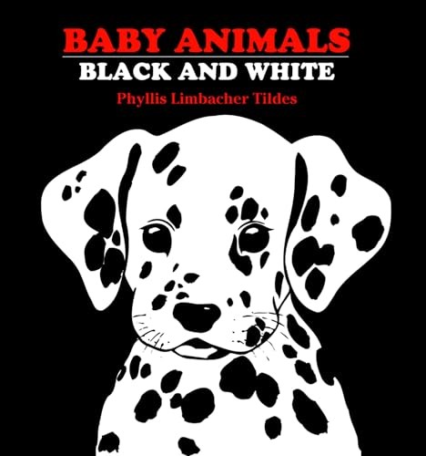 Baby Animals Black and White by Phyllis Limbacher Tildes (1998, Children's ... - Image 6