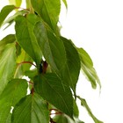 Foto 9 di 9