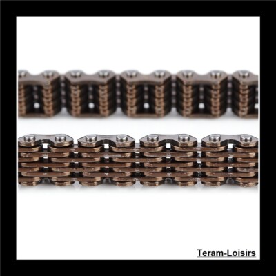 Cinghia Di Trasmissione Per Tapis Roulant Triumph 415T – Modello TM610B + Lubrificante 1 Oz