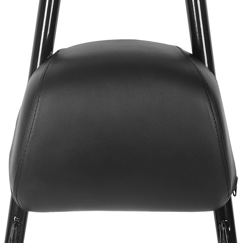 Sissy Bar Passenger Backrest For Harley Sportster XL 883 1200 Forty Eight 04-22 - Picture 10 of 13