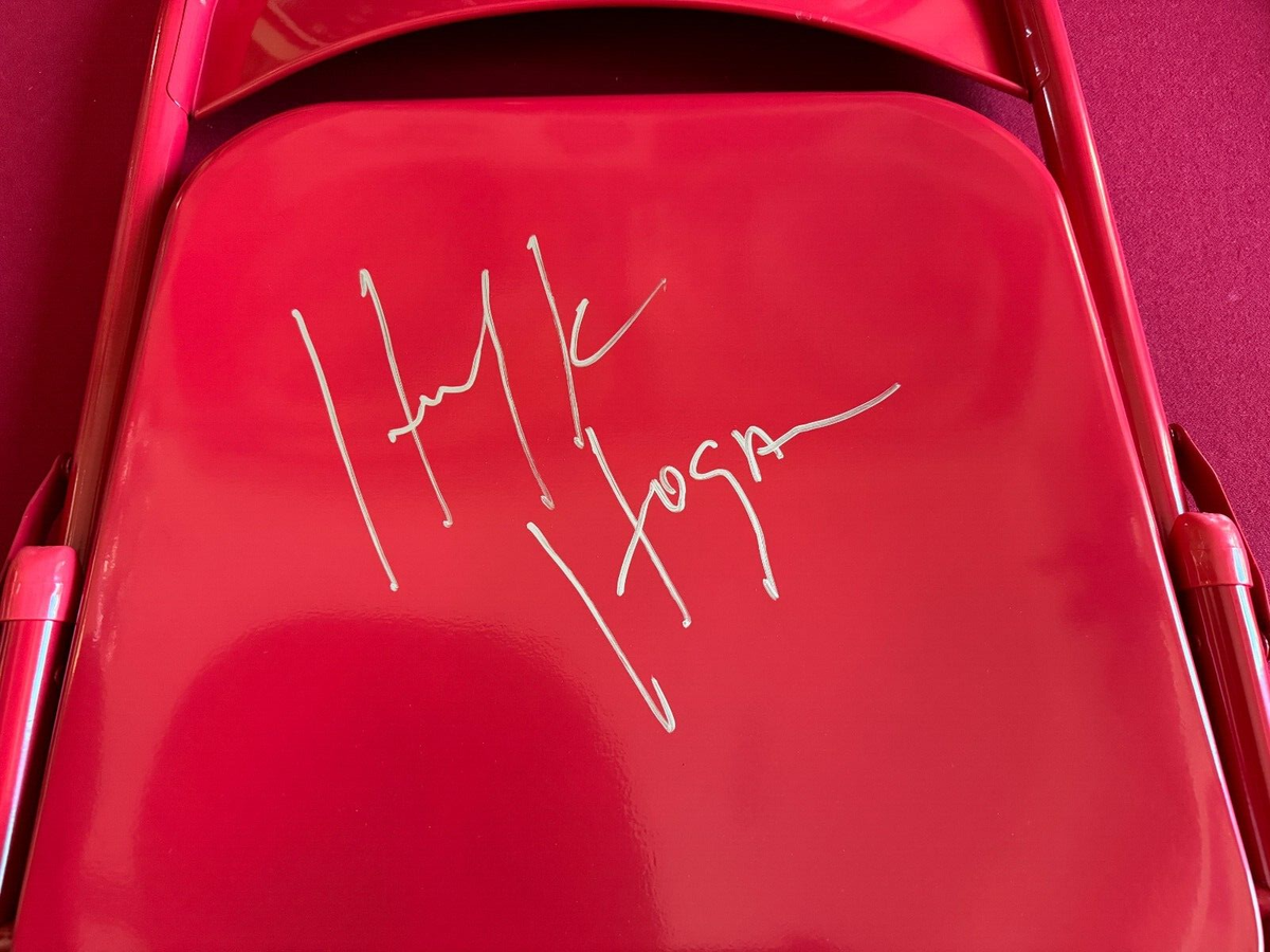 Hulk Hogan, 