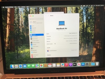 Apple MacBook Air 13''  i3 1.1GHz 8GB 256GB Gold  A2179 2020 USED Read* #224