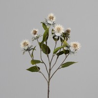 Kugeldistelzweig 78Cm Creme Dp Kunstblumen KüNstliche Blumen Distel