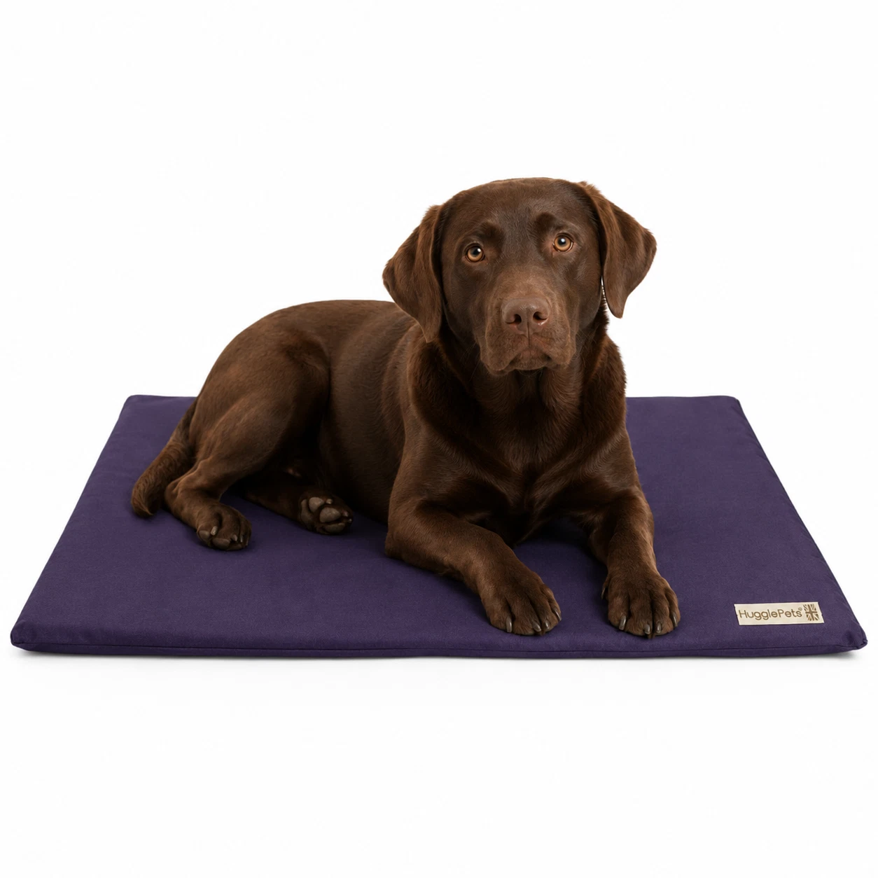 HugglePets Dog Bed Mat Purple Cushioned Waterproof Pet Pad Puppy Made In Britain