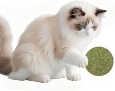 Catnip Balls for Cats - 2 Inches Diameter Catnip Ball, Interactive Cat Toy