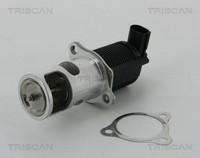 Triscan 8813 25038 Agr-Ventil FüR Dacia Passend FüR Nissan Renault
